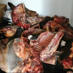 В Бишкеке фарш для пельменей делали из мертвечины. Милиция проводит проверку