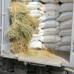 Он эки тонна минералдык жер семирткич камтылган контрабандалык жүк кармалды