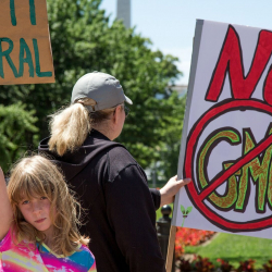 Просвещение не помогает: как переубедить адептов антинауки