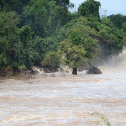 ӨКМ шашылыш билдирүү таратты