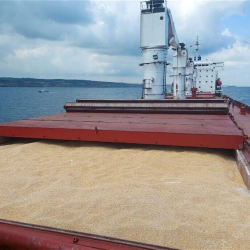 Из порта Турции отбыло первое судно для доставки зерна из Украины