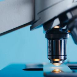 Ученые из Китая и Сингапура выявили новый генипавирус