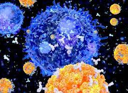 Индияда омикрондун өтө жугуштуу түрү аныкталган