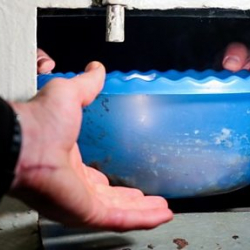 Ош: №5 СИЗОдогу жаран ачкачылык жарыялады