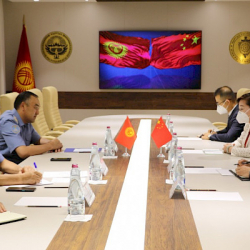 Улан Ниязбеков Кытай элчиси менен кызматташтыкты талкуулады