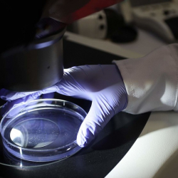 Ученые обнаружили в России новый штамм коронавируса «русский дельтакрон»