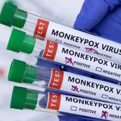 ВОЗ дала новые наименования двум вариантам оспы обезьян