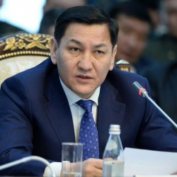 ИИМ Абдил Сегизбаевдин суракка алынышы боюнча комментарий берди