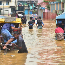 ВИДЕО - Суданда селден ондогон киши курман болду