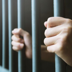 №5 СИЗОдогу жаран ачкачылык акциясын улантууда