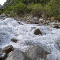 Ала-Арча суусунан жаш кыздын денеси табылды