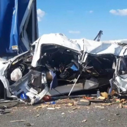 ТИМ Орусиядагы кырсык боюнча үн катты