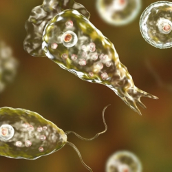 Дарыяга жуунуп жаткан бала 