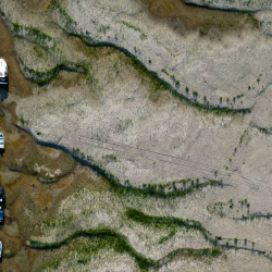 ВИДЕО - Европу накрыла самая сильная за 500 лет засуха