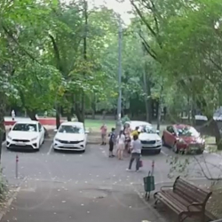 ВИДЕО - В Москве гражданка Узбекистана пыталась похитить девочку с детской площадки