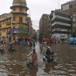 ВИДЕО - Селден каза болгондордун саны 900гө жетти