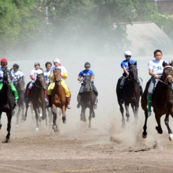 Байге фонду 500 миң сом. Ошто мэрдин кубогу үчүн ат чабыш өтөт