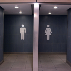 Туалеты за 13 миллионов сомов появятся в Караколе