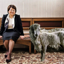 Асейин Саралаев: «Сократтын теңсиздик теориясы же ала койду бөлө кырккан саясат»