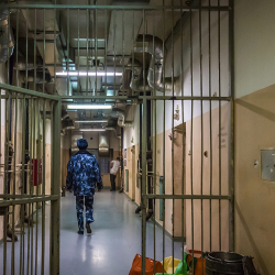 СҮРӨТ - Оштогу СИЗОдо жаран каза болгон. Гематомаларга караганда, ал кыйноого алынган