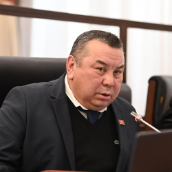 Балбак Түлөбаев Агрардык саясат боюнча комитетинин төрагасынын орун басары болуп шайланды