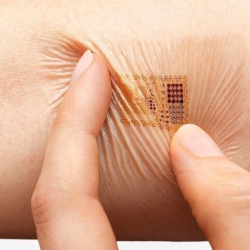 Депутат окуучулардын денесине чип орнотууну сунуштады