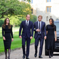 СҮРӨТ - Ханзаада Уильям жана Гарри жубайлары менен көп убакыттан бери алгачкы жолу эл алдына чыгышты