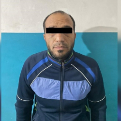 Чет элдик жаранга бычак сайып, Казакстанга качып кеткен жаран кармалды