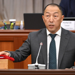 Башкы прокуратура Доскул Бекмурзаевге 2 кылмыш ишин козгоду