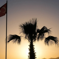 Украина Түркияга эмне үчүн каршы? Анкара түшүндүрмөнү талап кылды