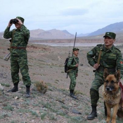 Чек ара чыры: Тажик тарап ок атууну токтото элек