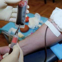 Республикалык кан борбору жарандарды кан берүүгө чакырууда