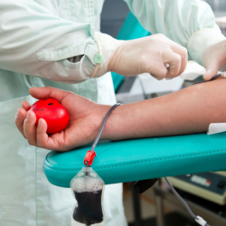 В Бишкеке люди сдают кровь для пострадавших жителей Баткенской области