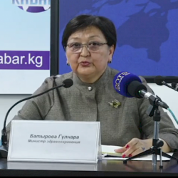 Тажикстандын кол салуусу. Жалпы 164 жаран ооруканага кайрылган, алардын 12си балдар