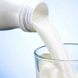 Дарыгерлер сүт азыктары кайсы оорулардан коргой турганын аныкташты