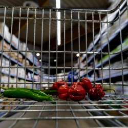 ЖМК: Германия экинчи дүйнөлүк согуштан кийинки эң оор каатчылыкка кептелди