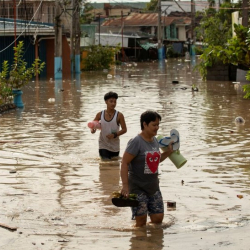 ВИДЕО - Тайфун 