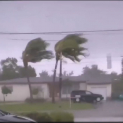 Флорида губернатору 