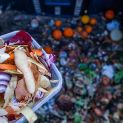 Дүйнөдө ысырапкорчулук