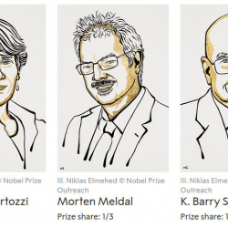Нобелевскую премию по химии дали за новый метод синтеза молекул