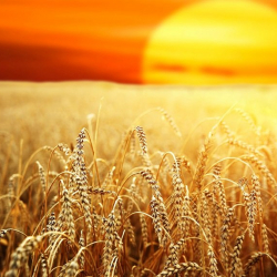 9-октябрдын аба ырайы