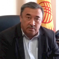 Кинематография департаментинин директору кызматынан бошотулду