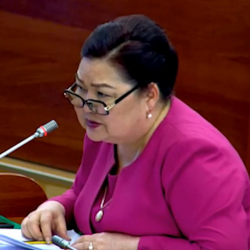 Депутат «Кактус Медиа», «Клооп», «Азаттыкты» жабуу үчүн кол топтоодо