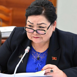 Депутат: Жөлөк пул 50 миң сомго көтөрүлсө, балдар көп төрөлмөк