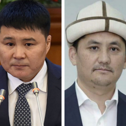 Депутат: Руслан Бекназаровго коюлган айып мыйзамсыз