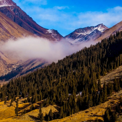 Ысык-Көлдө дайынсыз болуп жаткан Россиянын жарандары табылды