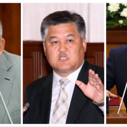 Трёх политиков и блогера  водворили в ИВС