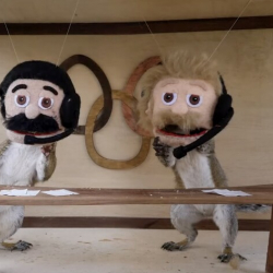 ВИДЕО - Блогер устроил олимпиаду для белок