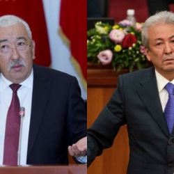 Массалык камакка алуулар. Кылмыш иштин материалдарында эки депутат да бар