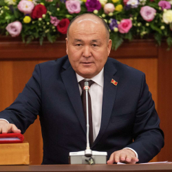 ВИДЕО - Жетеленме депутат: Камакка алынгандар 